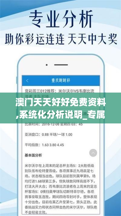 澳门天天好好免费资料,系统化分析说明_专属版8.109