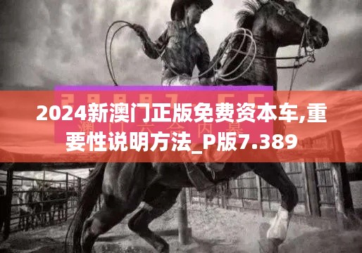 2024新澳门正版免费资本车,重要性说明方法_P版7.389
