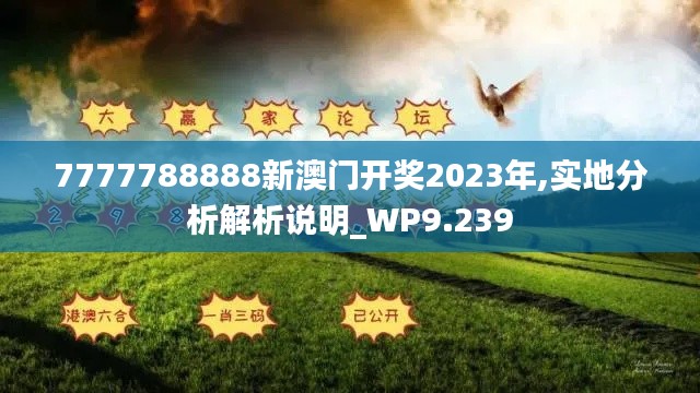 7777788888新澳门开奖2023年,实地分析解析说明_WP9.239