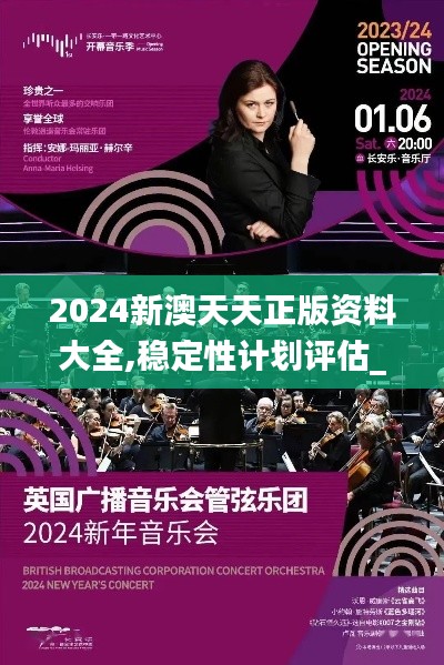 2024新澳天天正版资料大全,稳定性计划评估_微型版10.280