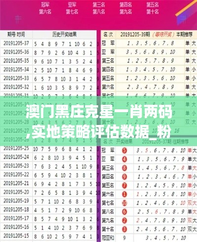 澳门黑庄克星一肖两码,实地策略评估数据_粉丝款7.737