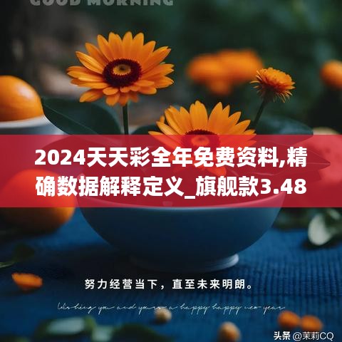 2024天天彩全年免费资料,精确数据解释定义_旗舰款3.488