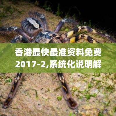 香港最快最准资料免费2017-2,系统化说明解析_Plus5.120
