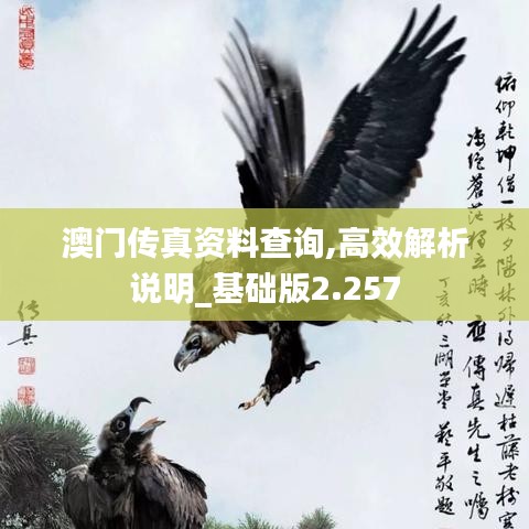 澳门传真资料查询,高效解析说明_基础版2.257