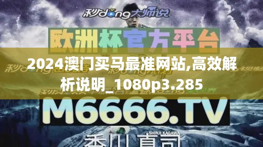 2024澳门买马最准网站,高效解析说明_1080p3.285