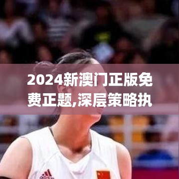 2024新澳门正版免费正题,深层策略执行数据_投资版9.149