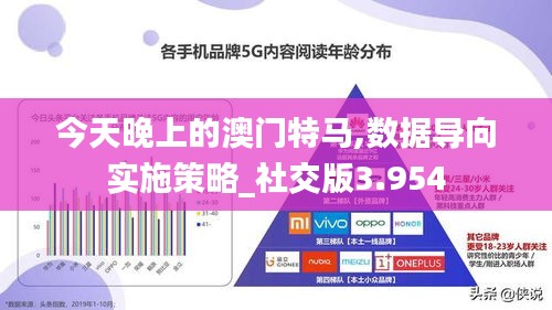 今天晚上的澳门特马,数据导向实施策略_社交版3.954