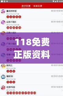 118免费正版资料大全,灵活解析设计_精英款7.958