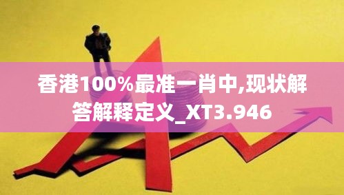 香港100%最准一肖中,现状解答解释定义_XT3.946
