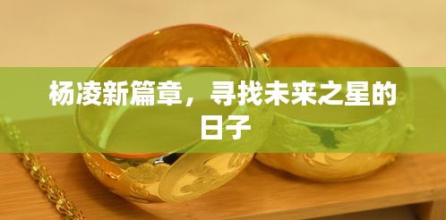 杨凌新篇章，探寻未来之星的日子