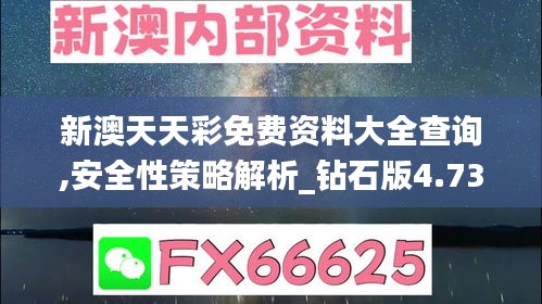 新澳天天彩免费资料大全查询,安全性策略解析_钻石版4.730