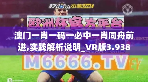 澳门一肖一码一必中一肖同舟前进,实践解析说明_VR版3.938
