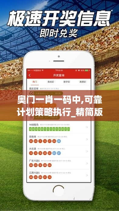奥门一肖一码中,可靠计划策略执行_精简版1.773