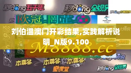 刘伯温澳门开彩结果,实践解析说明_N版9.100