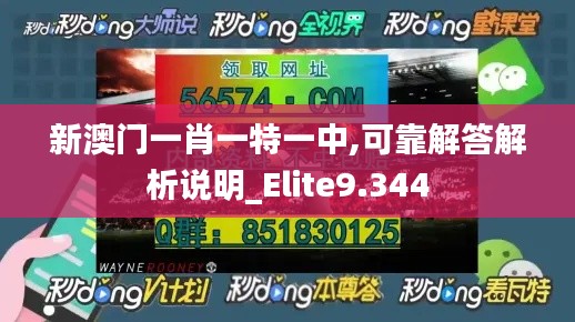 新澳门一肖一特一中,可靠解答解析说明_Elite9.344