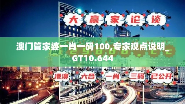 澳门管家婆一肖一码100,专家观点说明_GT10.644