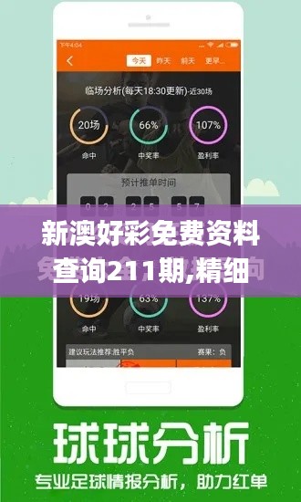 新澳好彩免费资料查询211期,精细化分析说明_精简版4.282