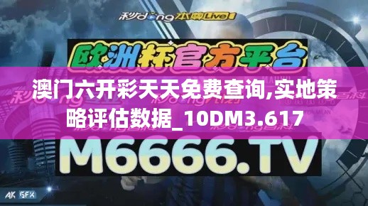 澳门六开彩天天免费查询,实地策略评估数据_10DM3.617