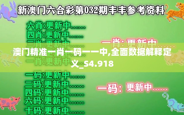 澳门精准一肖一码一一中,全面数据解释定义_S4.918