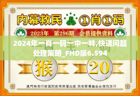 2024年一肖一码一中一特,快速问题处理策略_FHD版6.594
