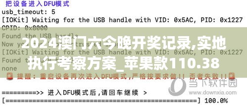 2024澳门六今晚开奖记录,实地执行考察方案_苹果款110.380