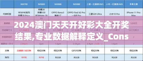 2024澳门天天开好彩大全开奖结果,专业数据解释定义_Console4.823