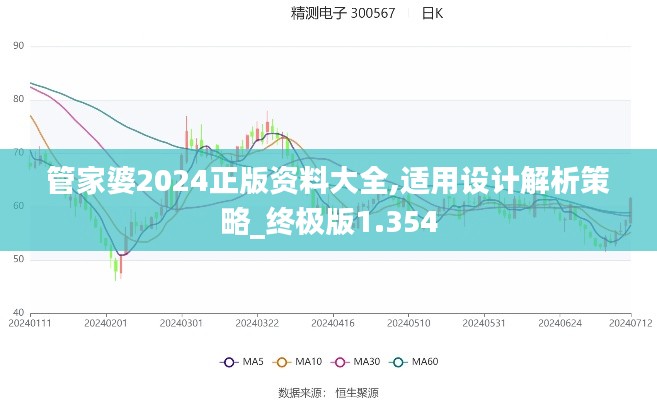 管家婆2024正版资料大全,适用设计解析策略_终极版1.354