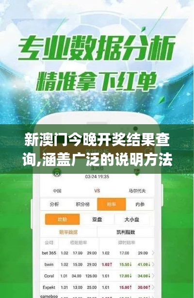 新澳门今晚开奖结果查询,涵盖广泛的说明方法_限定版5.597