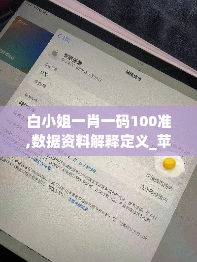 白小姐一肖一码100准,数据资料解释定义_苹果款12.830