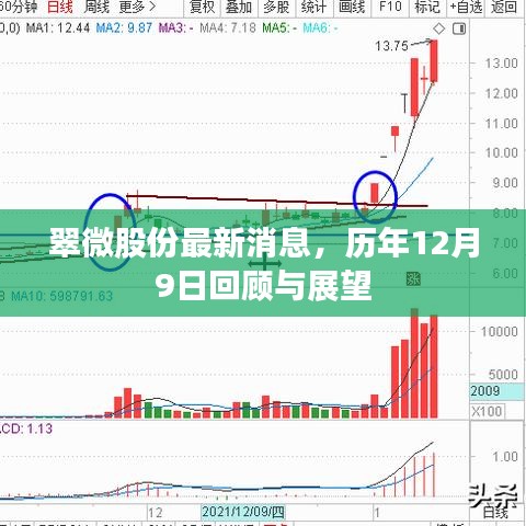 翠微股份历年12月9日回顾与展望，最新消息一览