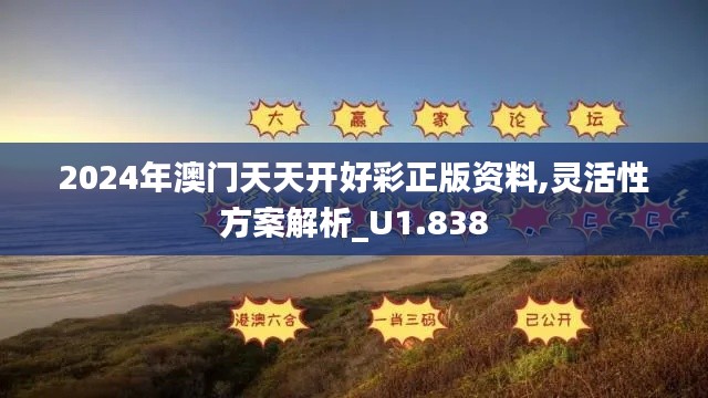 2024年澳门天天开好彩正版资料,灵活性方案解析_U1.838