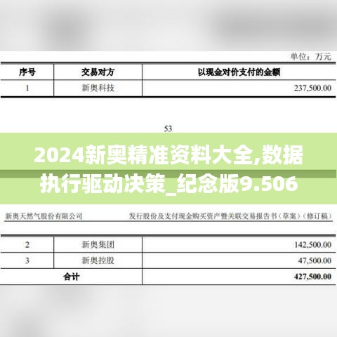 2024新奥精准资料大全,数据执行驱动决策_纪念版9.506