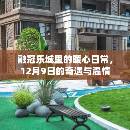 融冠乐城里的暖心日常，12月9日的奇遇与温情