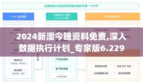 2024新澳今晚资料免费,深入数据执行计划_专家版6.229