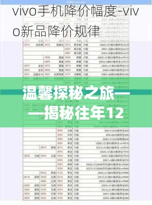 揭秘vivo最新版手机历年12月9日价格秘密的温馨探秘之旅