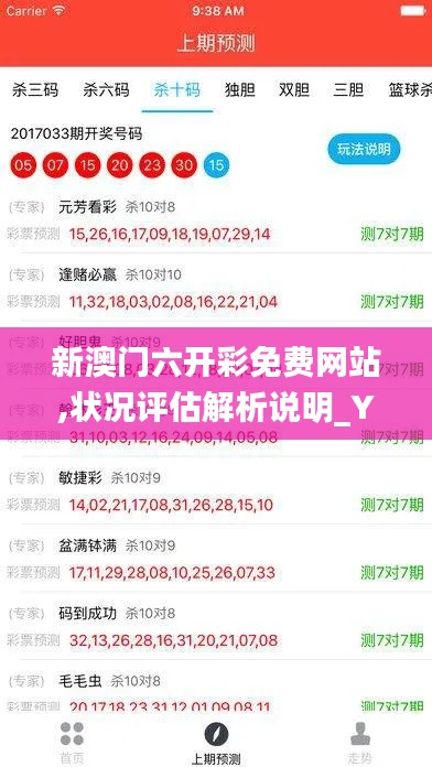 新澳门六开彩免费网站,状况评估解析说明_YE版8.155