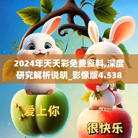 2024年天天彩免费资料,深度研究解析说明_影像版4.538