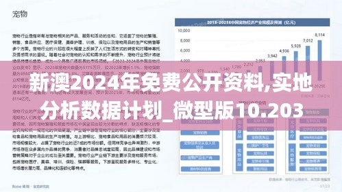 新澳2024年免费公开资料,实地分析数据计划_微型版10.203