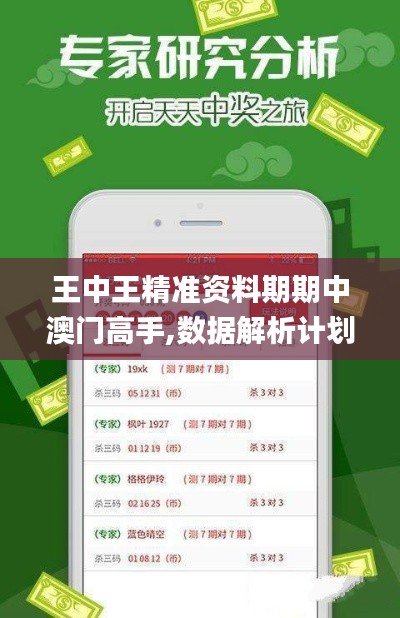 王中王精准资料期期中澳门高手,数据解析计划导向_3K12.447