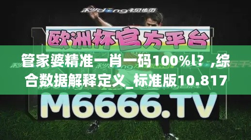 管家婆精准一肖一码100%l？,综合数据解释定义_标准版10.817