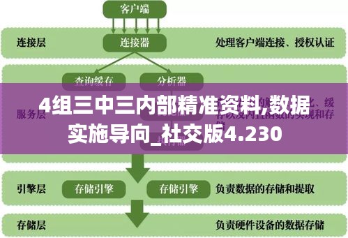 4组三中三内部精准资料,数据实施导向_社交版4.230