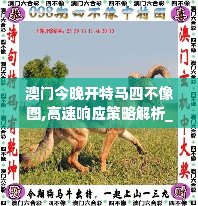 澳门今晚开特马四不像图,高速响应策略解析_尊贵款3.383