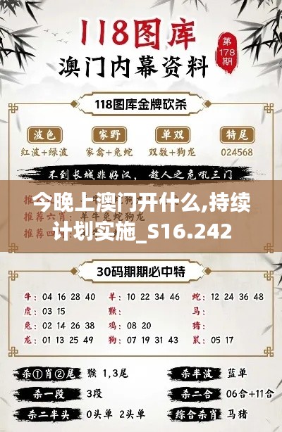 今晚上澳门开什么,持续计划实施_S16.242