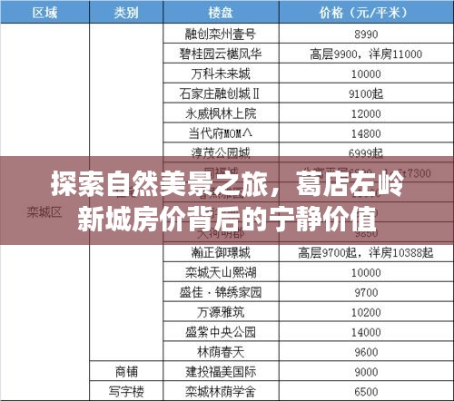粗心大意 第2页