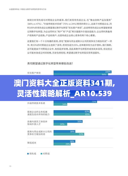 澳门资料大全正版资料341期,灵活性策略解析_AR10.539