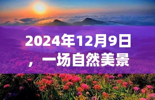2024年寻找爱情之旅，自然美景的静谧角落之旅
