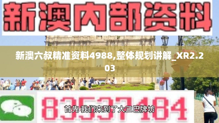 新澳六叔精准资料4988,整体规划讲解_XR2.203