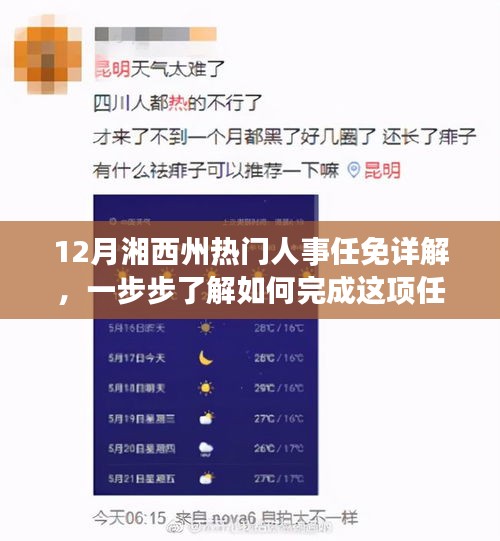12月湘西州热门人事任免详解，一步步了解如何完成这项任务