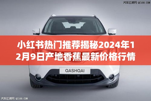 炙手可热 第2页