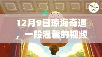 12月9日琼海奇遇，一段温馨的视频故事